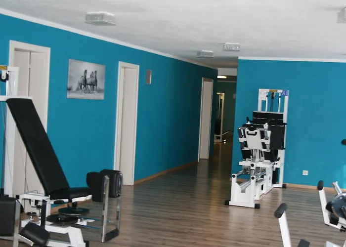 - Swimming Pool Available 4* Davos